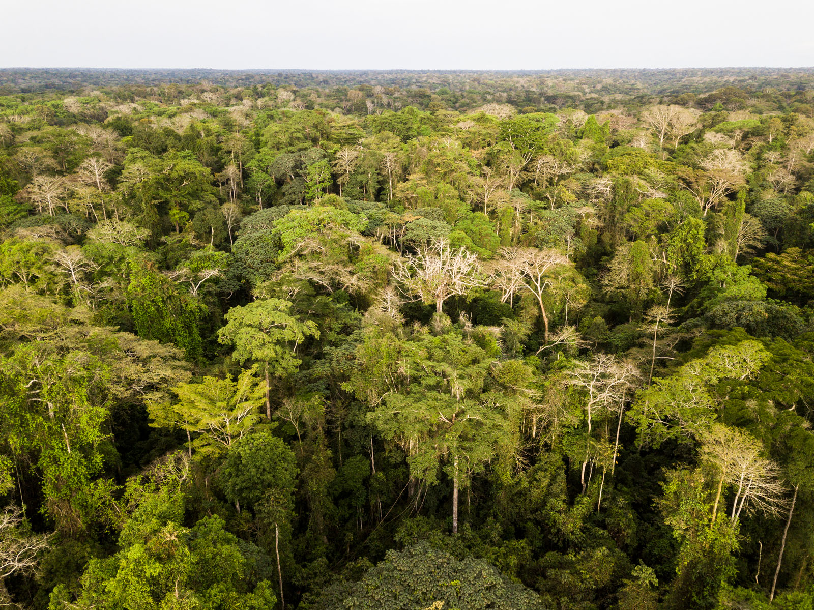 Camerun, Mindourou.